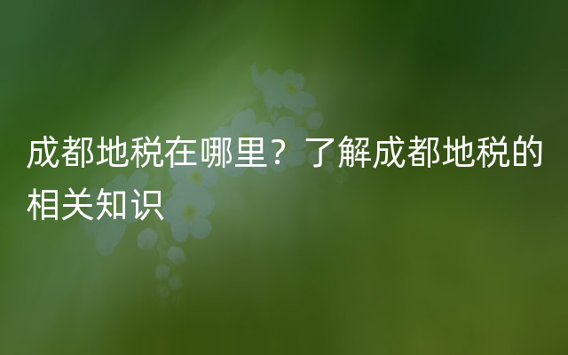 成都地税在哪里？了解成都地税的相关知识