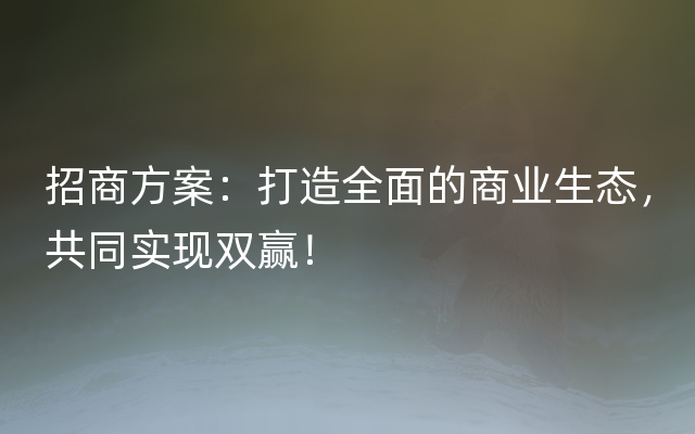 招商方案：打造全面的商业生态，共同实现双赢！