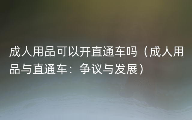 成人用品可以开直通车吗（成人用品与直通车：争议与发展）