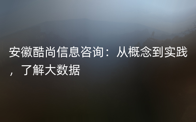 安徽酷尚信息咨询：从概念到实践，了解大数据