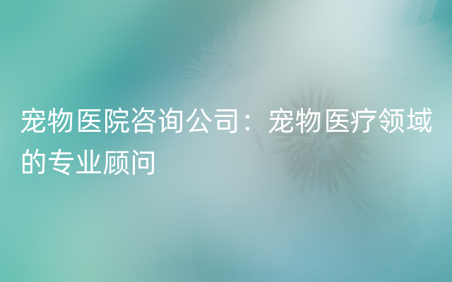 宠物医院咨询公司：宠物医疗领域的专业顾问