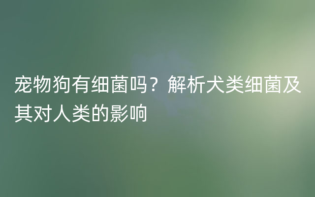 宠物狗有细菌吗？解析犬类细菌及其对人类的影响