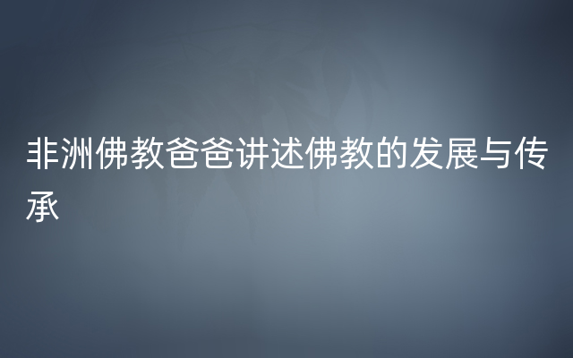 非洲佛教爸爸讲述佛教的发展与传承