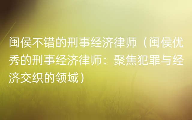 闽侯不错的刑事经济律师（闽侯优秀的刑事经济律师：聚焦犯罪与经济交织的领域）