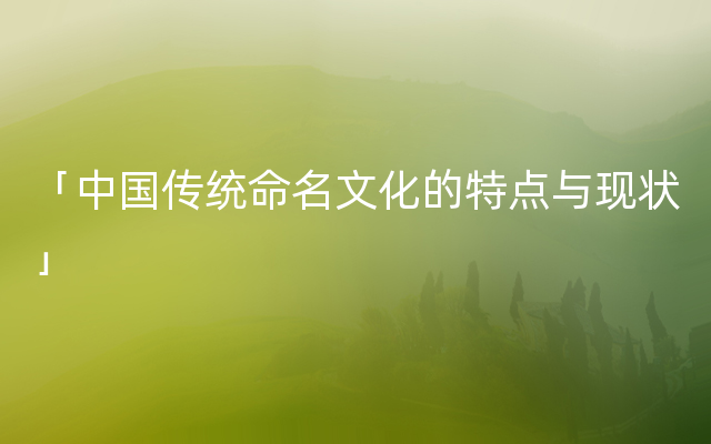 「中国传统命名文化的特点与现状」