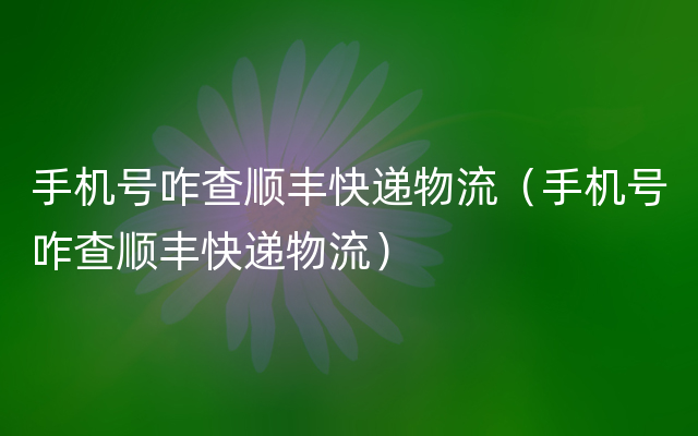 手机号咋查顺丰快递物流（手机号咋查顺丰快递物流）