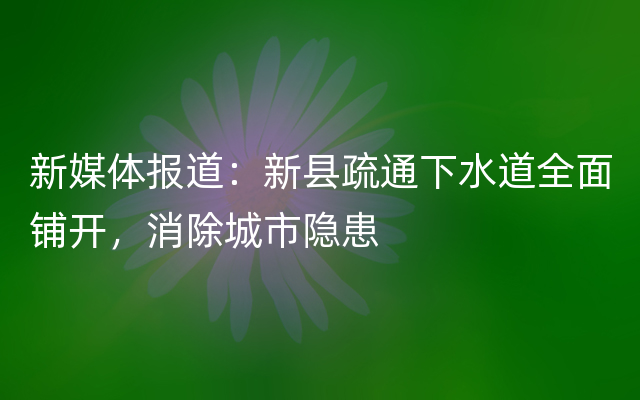 新媒体报道：新县疏通下水道全面铺开，消除城市隐患