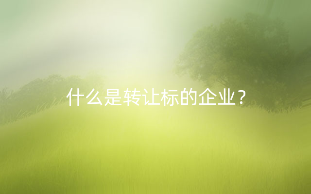 什么是转让标的企业？