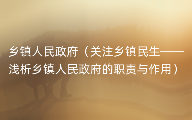 乡镇人民政府（关注乡镇民生——浅析乡镇人民政府的职责与作用）