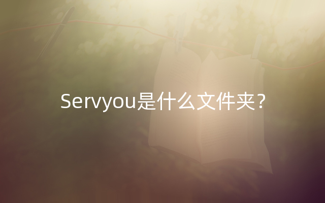 Servyou是什么文件夹？