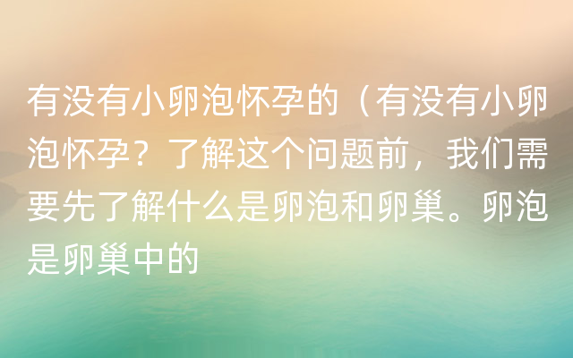 有没有小卵泡怀孕的（有没有小卵泡怀孕？了解这个问题前，我们需要先了解什么是卵泡和