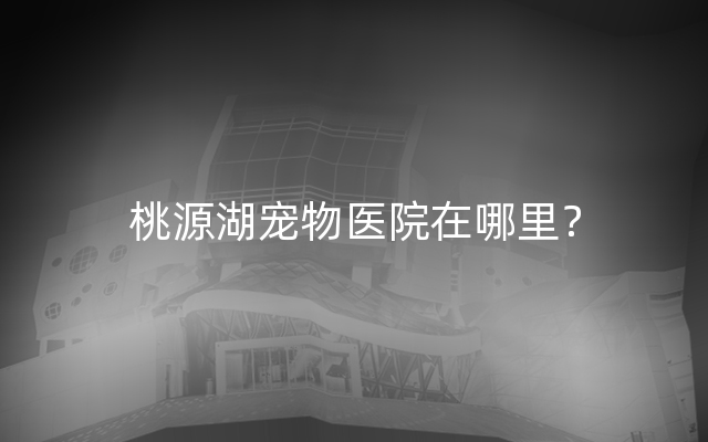 桃源湖宠物医院在哪里？