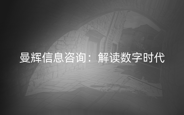 曼辉信息咨询：解读数字时代