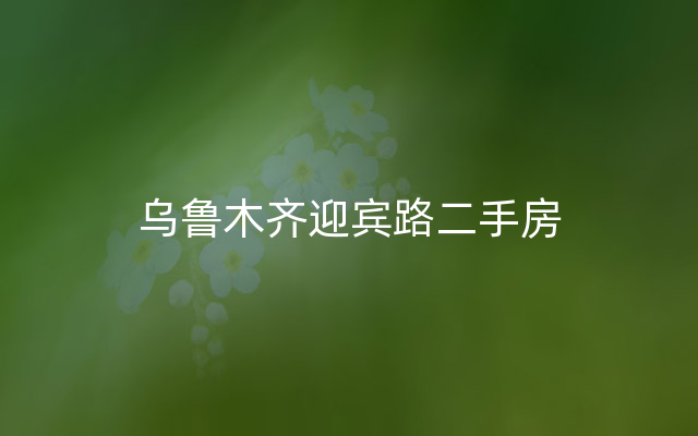 乌鲁木齐迎宾路二手房