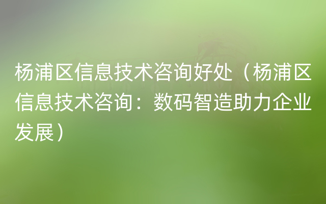 杨浦区信息技术咨询好处（杨浦区信息技术咨询：数码智造助力企业发展）