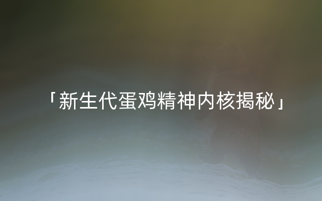 「新生代蛋鸡精神内核揭秘」