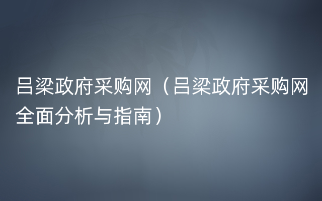 吕梁政府采购网（吕梁政府采购网全面分析与指南）