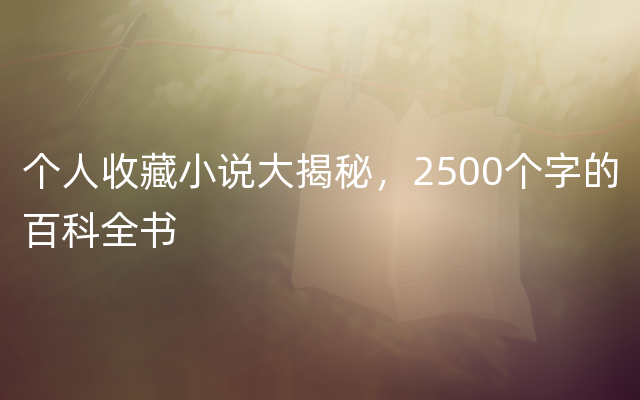 个人收藏小说大揭秘，2500个字的百科全书