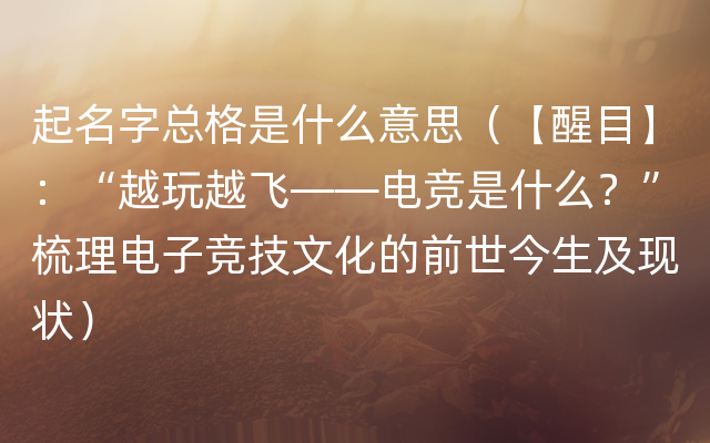 起名字总格是什么意思（【醒目】：“越玩越飞——电竞是什么？”梳理电子竞技文化的前