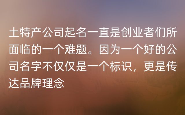 土特产公司起名一直是创业者们所面临的一个难题。因为一个好的公司名字不仅仅是一个标