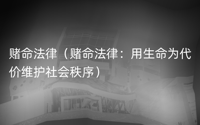 赌命法律（赌命法律：用生命为代价维护社会秩序）