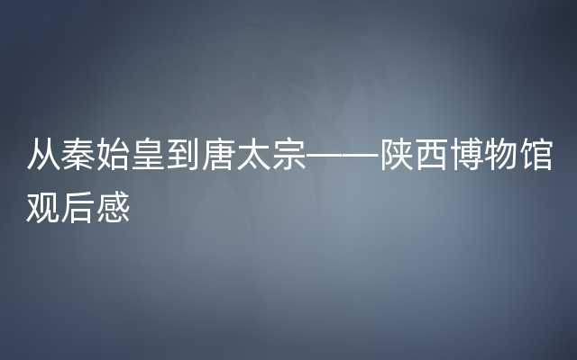 从秦始皇到唐太宗——陕西博物馆观后感