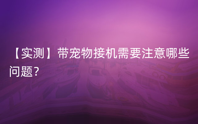 【实测】带宠物接机需要注意哪些问题？