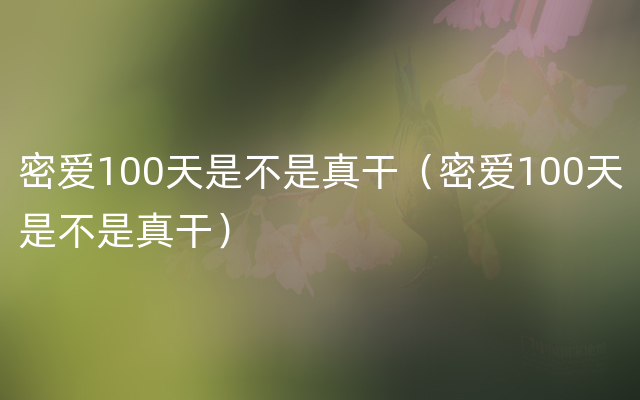 密爱100天是不是真干（密爱100天是不是真干）