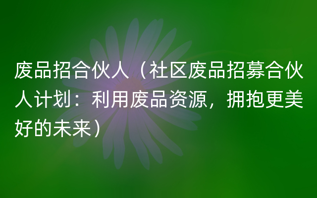 废品招合伙人（社区废品招募合伙人计划：利用废品资源，拥抱更美好的未来）