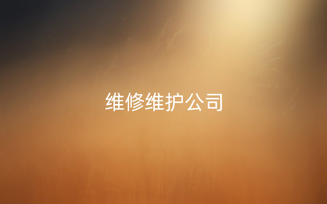 维修维护公司