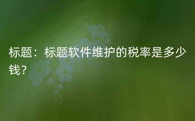 标题：标题软件维护的税率是多少钱？