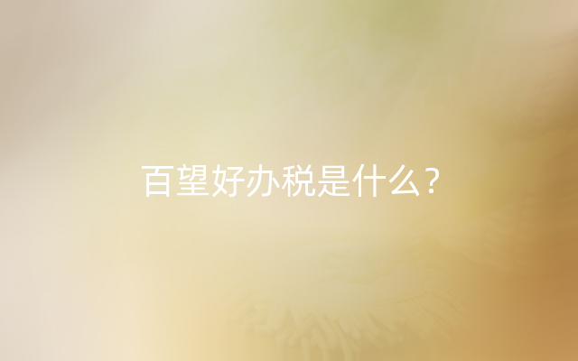 百望好办税是什么？