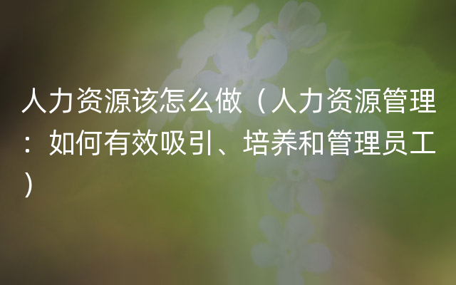 人力资源该怎么做（人力资源管理：如何有效吸引、培养和管理员工）