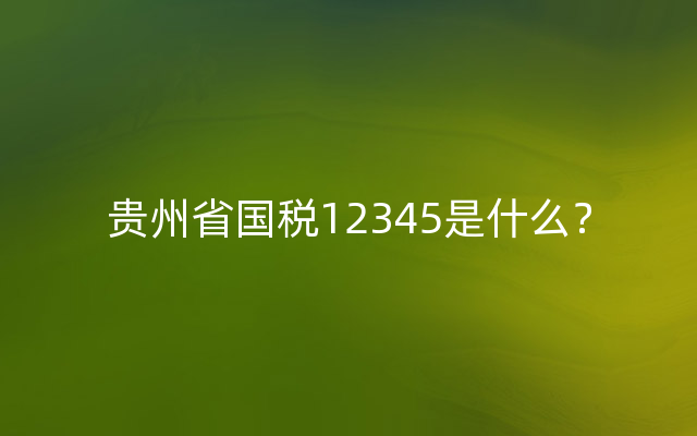 贵州省国税12345是什么？