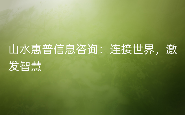 山水惠普信息咨询：连接世界，激发智慧