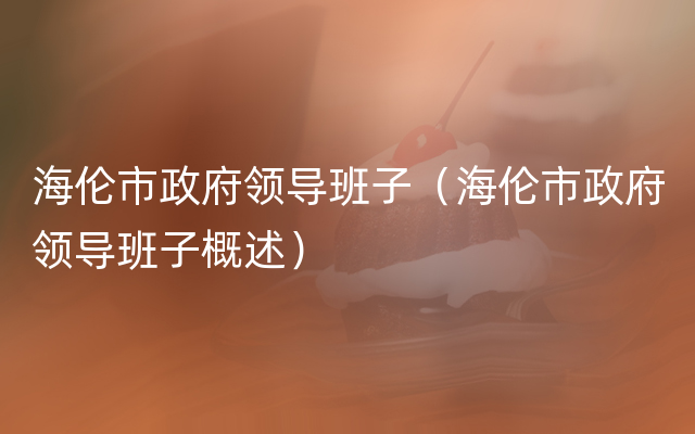 海伦市政府领导班子（海伦市政府领导班子概述）