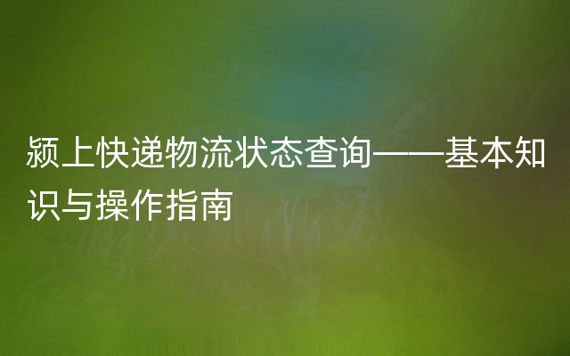 颍上快递物流状态查询——基本知识与操作指南