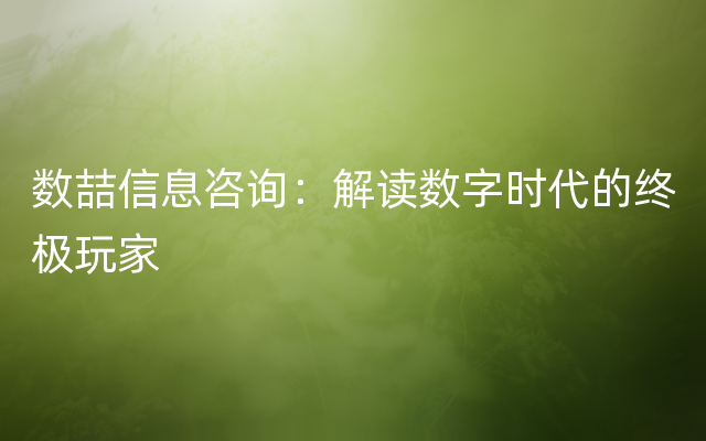 数喆信息咨询：解读数字时代的终极玩家