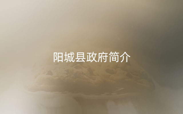 阳城县政府简介