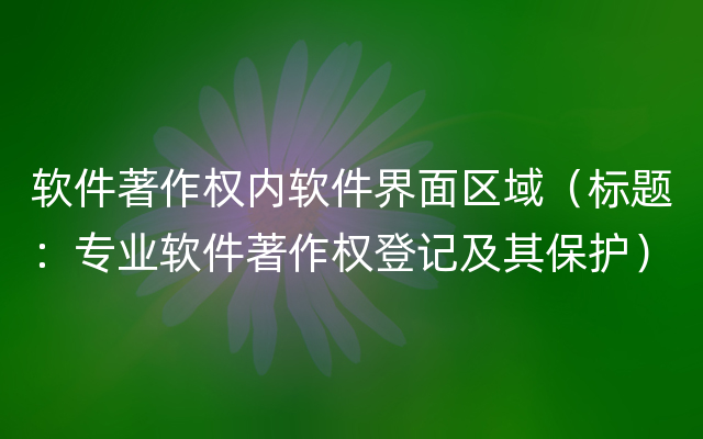 软件著作权内软件界面区域（标题：专业软件著作权登记及其保护）