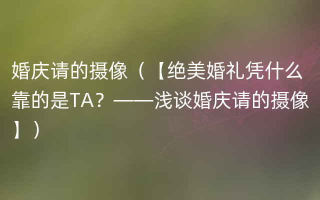 婚庆请的摄像（【绝美婚礼凭什么靠的是TA？——浅谈婚庆请的摄像】）