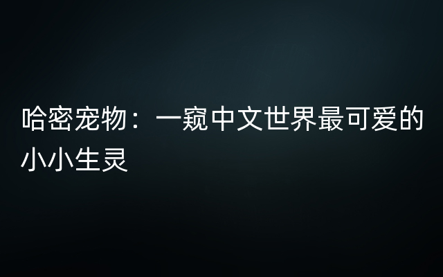 哈密宠物：一窥中文世界最可爱的小小生灵