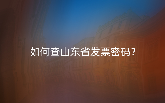 如何查山东省发票密码？