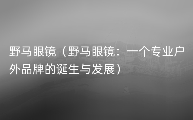 野马眼镜（野马眼镜：一个专业户外品牌的诞生与发展）