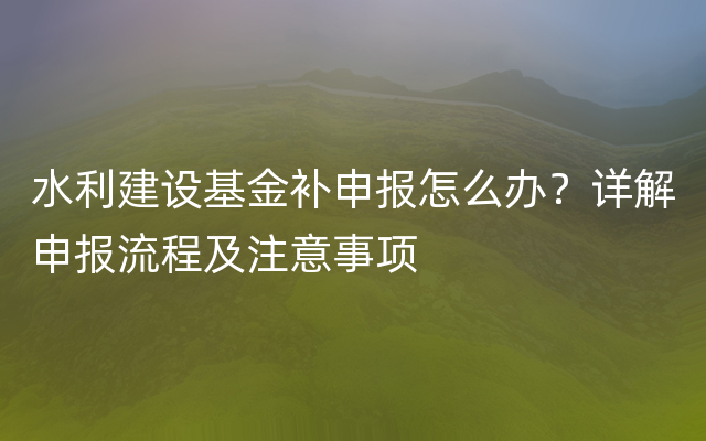 水利建设基金补申报怎么办？详解申报流程及注意事项