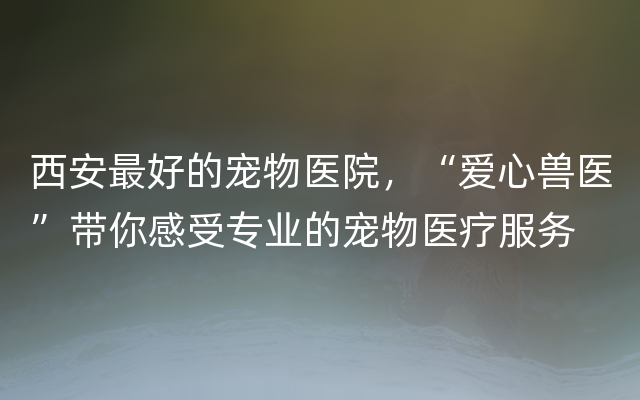 西安最好的宠物医院，“爱心兽医”带你感受专业的宠物医疗服务