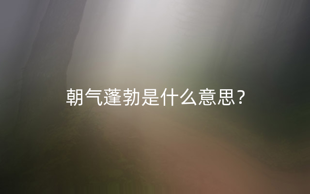 朝气蓬勃是什么意思？