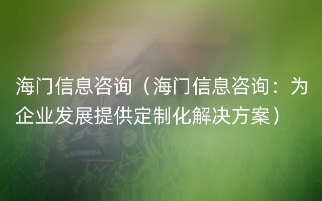 海门信息咨询（海门信息咨询：为企业发展提供定制化解决方案）