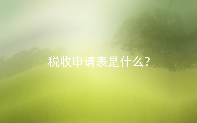 税收申请表是什么？