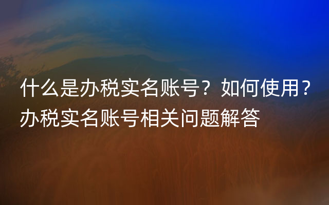 什么是办税实名账号？如何使用？办税实名账号相关问题解答